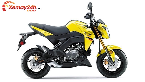 Kawasaki Z125 Pro